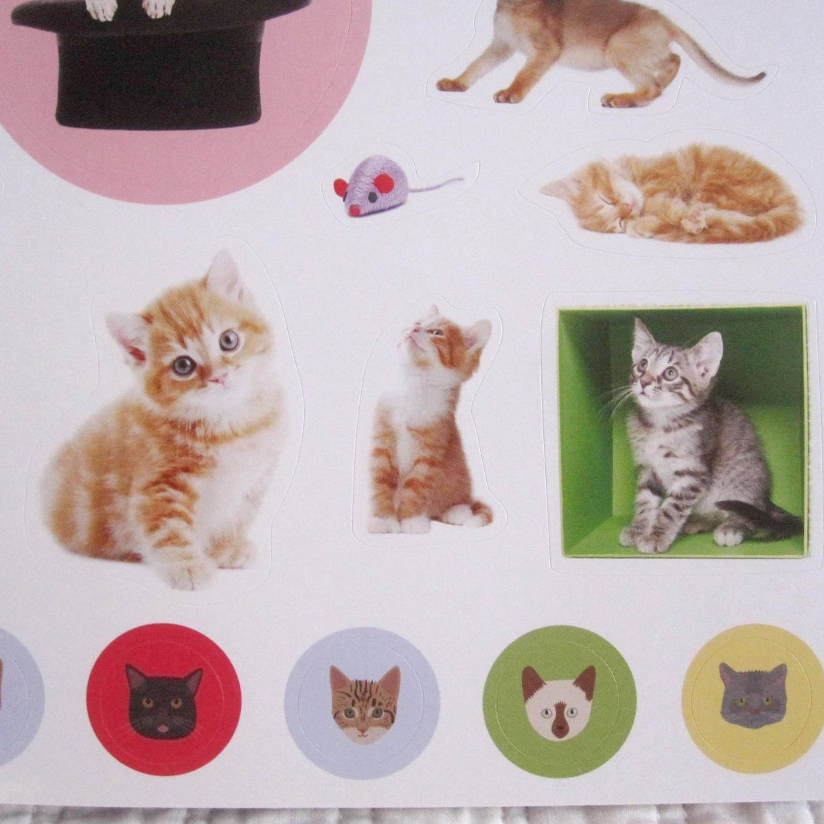 400 Nature-Inspired Reusable Stickers for Kids' Arts & Crafts - Get  'Eyelike Kittens' Now at Bellaboo Online! - Bellaboo